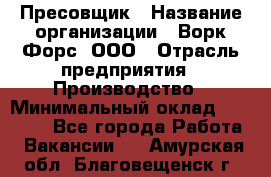 Пресовщик › Название организации ­ Ворк Форс, ООО › Отрасль предприятия ­ Производство › Минимальный оклад ­ 35 000 - Все города Работа » Вакансии   . Амурская обл.,Благовещенск г.